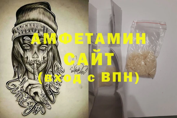 гидра Снежногорск